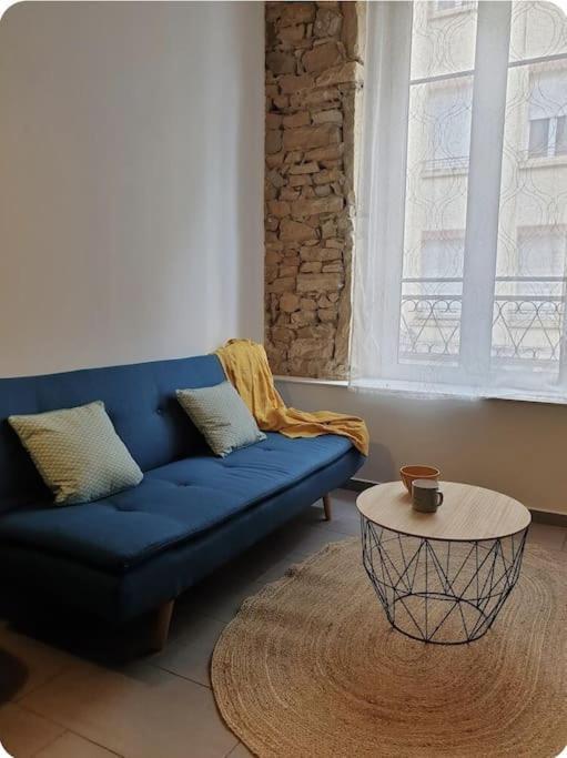 P'Tit Canut : Studio Tout Equipe Proche Centre Et Gare Lyon Luaran gambar